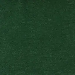 عينة شانيل هيز أخضر